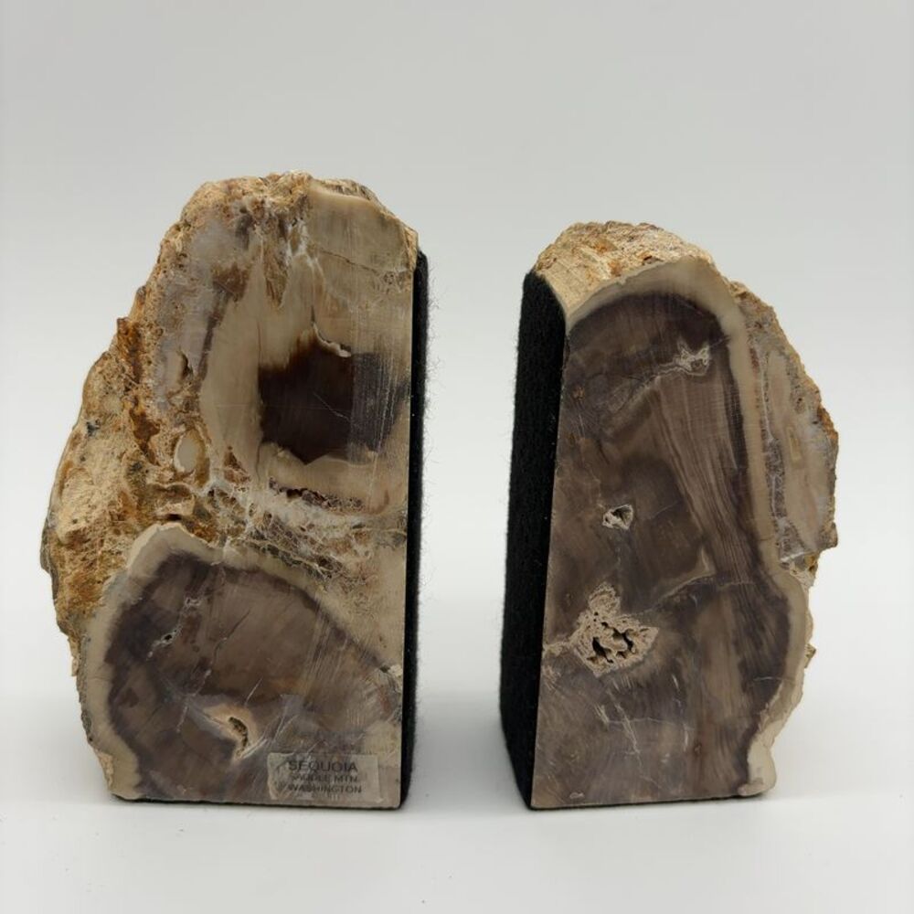 Saddle Mountain Petrified Wood Bookends
